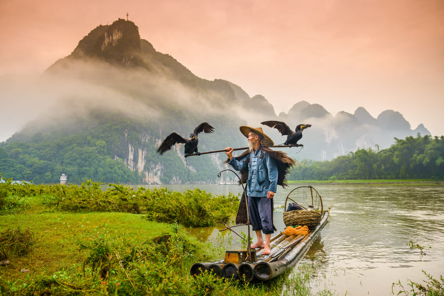 Pescador de Comoran sobre una lancha en el rio Yulong en Yangshou con montañas de fondo